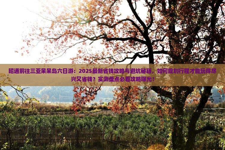 昭通前往三亚呆呆岛六日游