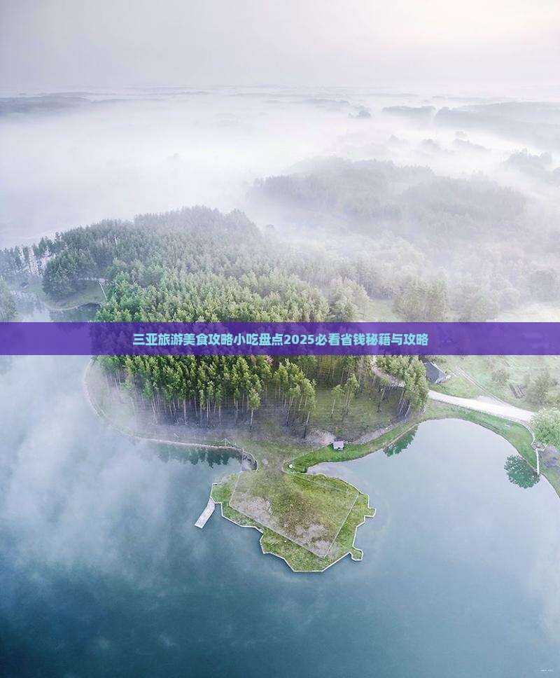清远去三亚呆呆岛旅游小吃