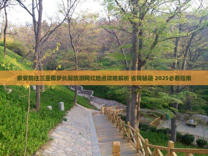 泰安前往三亚椰梦长廊旅游网红地点