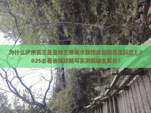 泸州去三亚亚特兰蒂斯水族馆自由团 泸州去三亚亚特兰蒂斯水族馆自由团