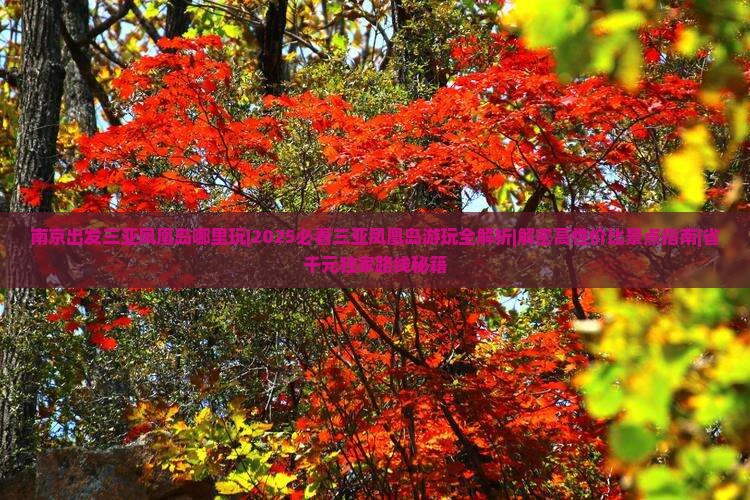 南京出发三亚凤凰岛哪里玩