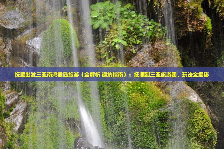 抚顺出发三亚南湾猴岛旅游