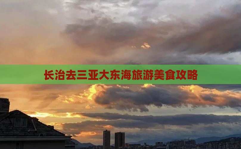长治去三亚大东海旅游小吃