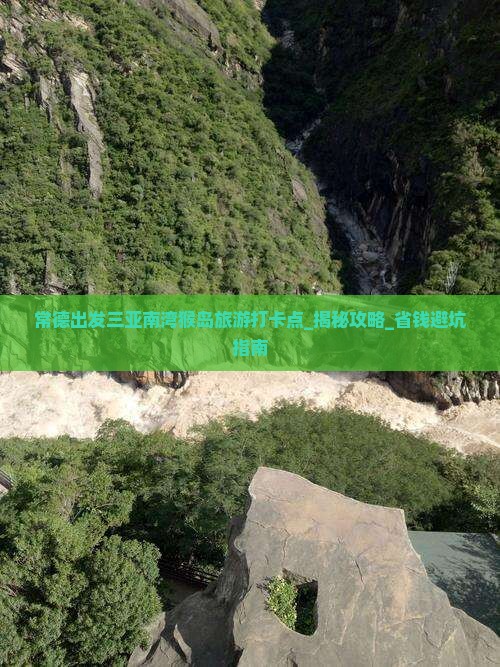 常德出发三亚南湾猴岛旅游打卡点