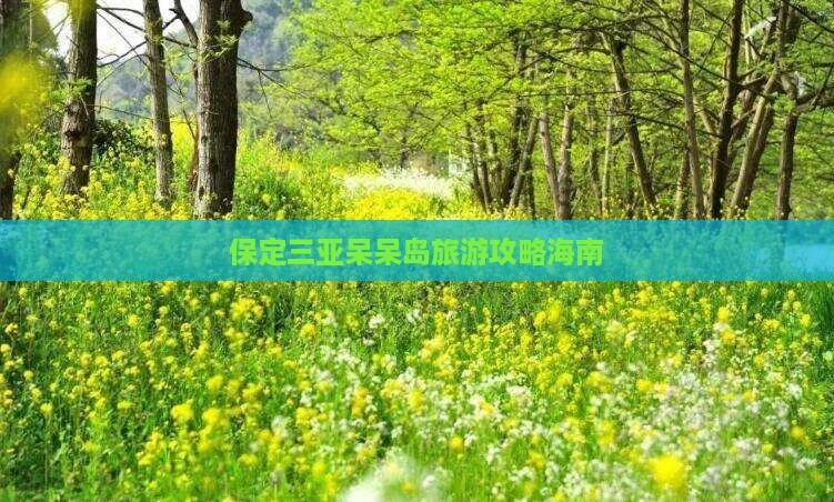 保定去三亚呆呆岛旅游