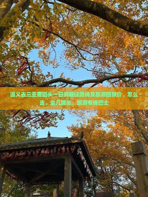 遵义去三亚鹿回头一日游