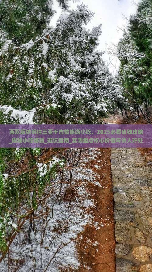 西双版纳前往三亚千古情旅游小吃