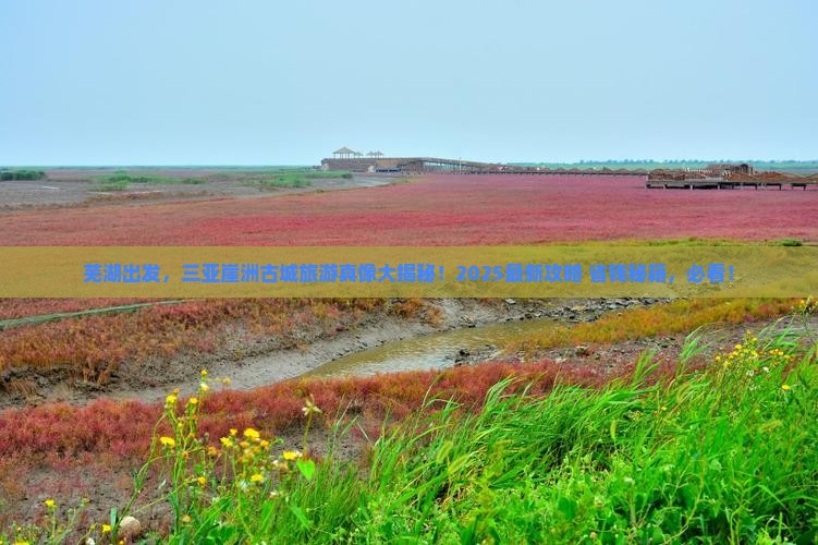 芜湖前往三亚崖洲古城旅游网红地点