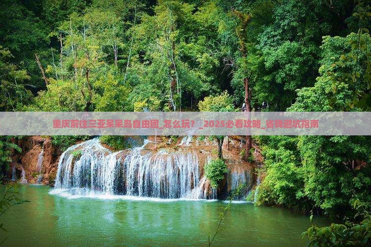 重庆前往三亚呆呆岛自由团