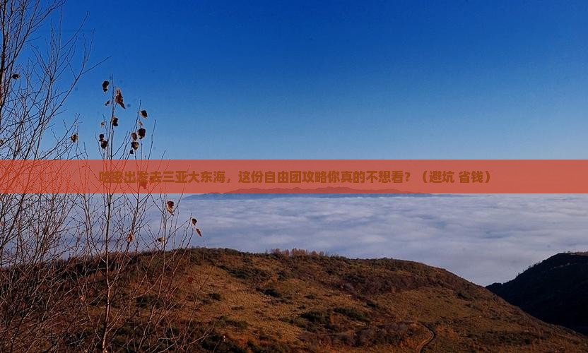哈密前往三亚大东海自由团