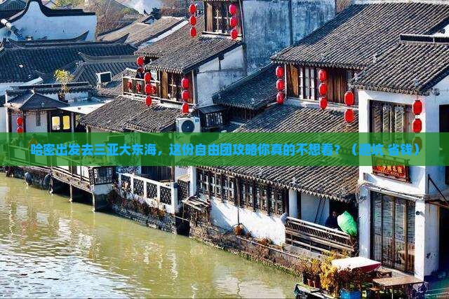 哈密前往三亚大东海自由团