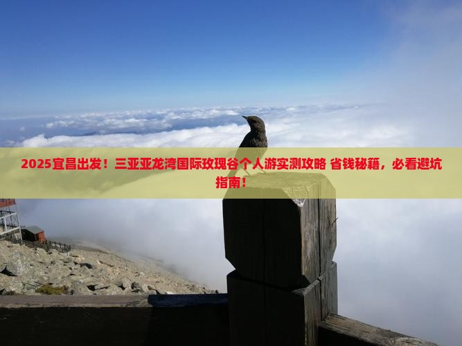 宜昌前往三亚亚龙湾国际玫瑰谷个人游