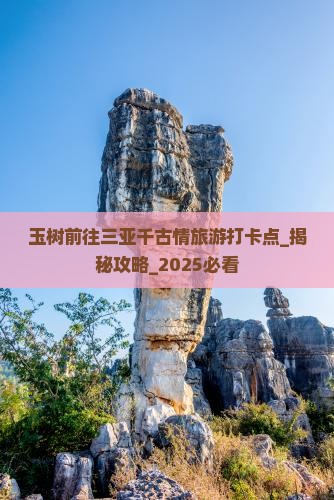 玉树前往三亚千古情旅游打卡点