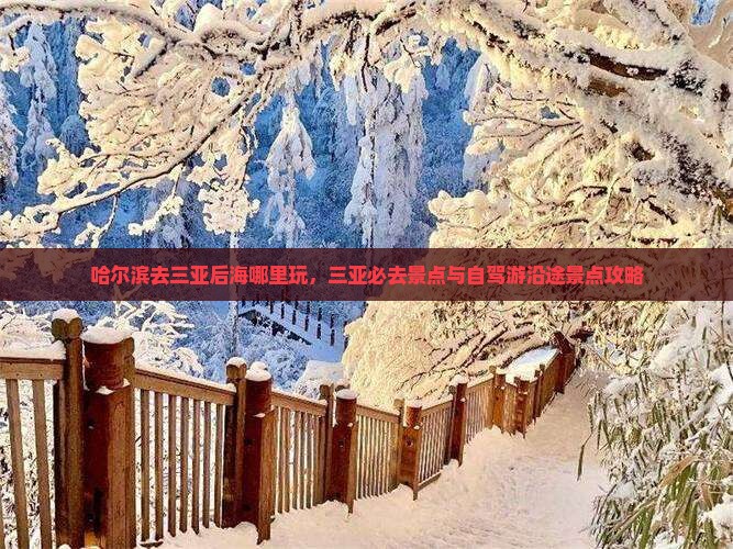 哈尔滨去三亚后海哪里玩