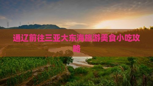 通辽前往三亚大东海旅游小吃
