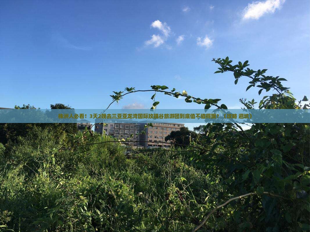 株洲去三亚亚龙湾国际玫瑰谷大型旅游团