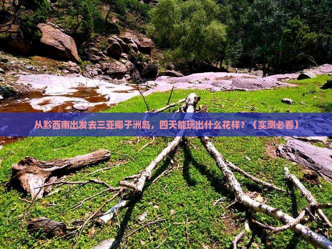 黔西南出发三亚椰子洲岛四日游