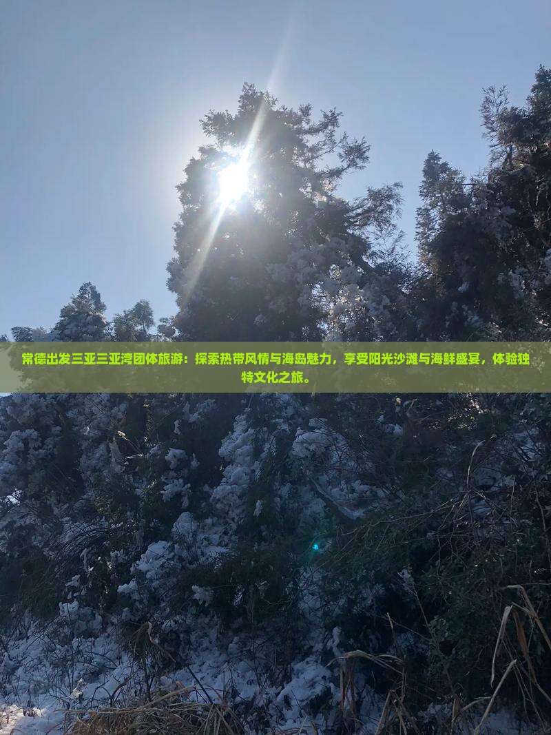 常德出发三亚三亚湾团体旅游