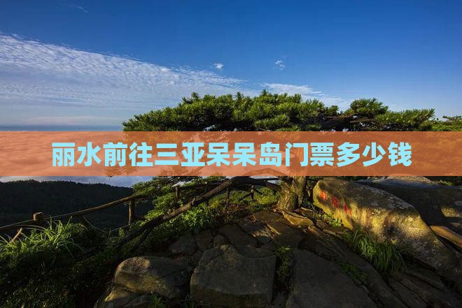 丽水前往三亚呆呆岛门票