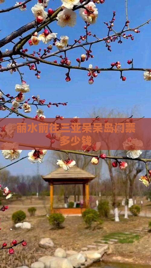 丽水前往三亚呆呆岛门票