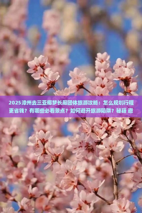 漳州去三亚椰梦长廊团体旅游