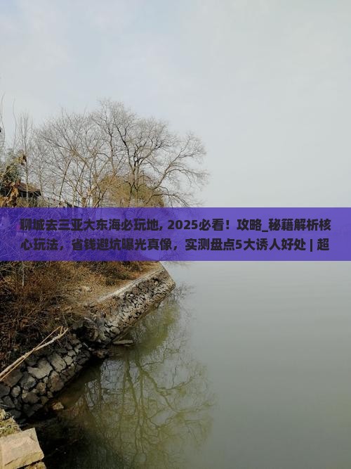 聊城去三亚大东海必玩地