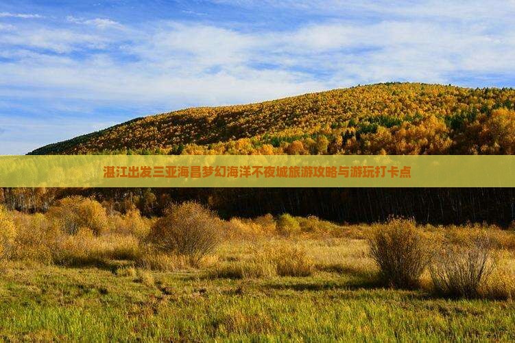 湛江出发三亚海昌梦幻海洋不夜城旅游打卡点