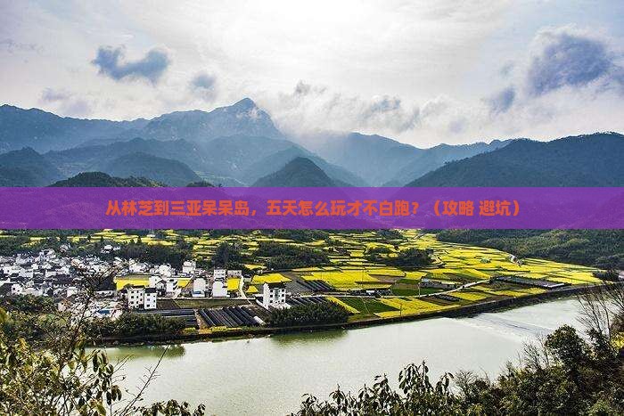 林芝去三亚呆呆岛五日游