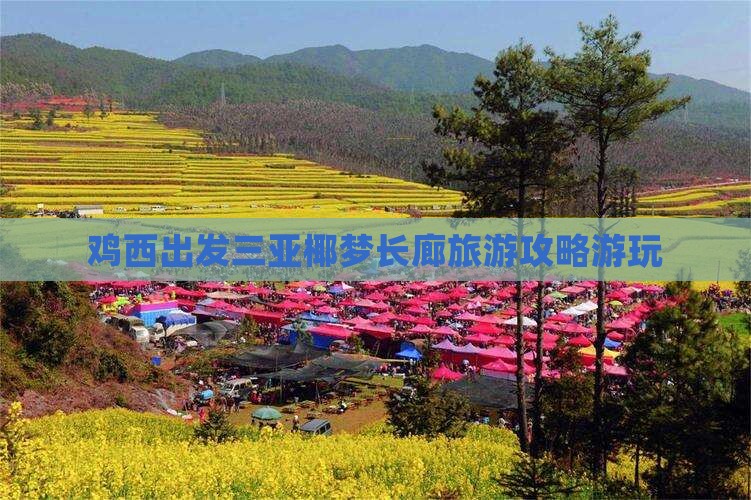 鸡西出发三亚椰梦长廊攻略