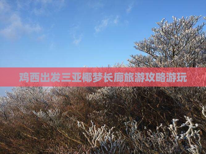 鸡西出发三亚椰梦长廊攻略