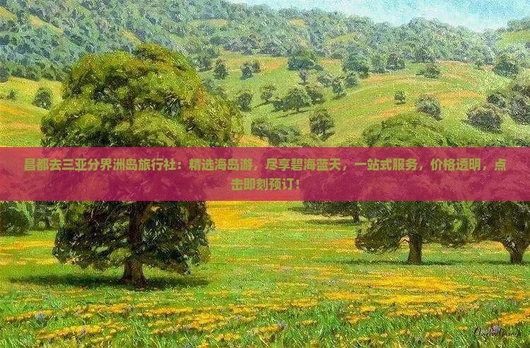 昌都去三亚分界洲岛旅行社