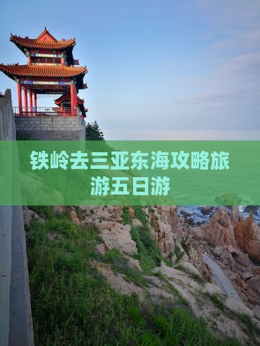 铁岭去三亚小东海五日游
