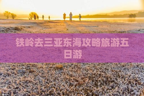 铁岭去三亚小东海五日游