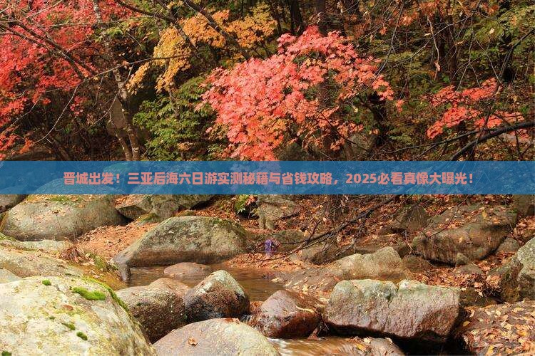 晋城前往三亚后海六日游