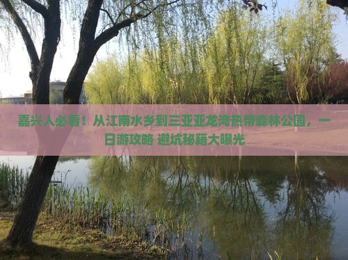 嘉兴去三亚亚龙湾热带森林公园一日游