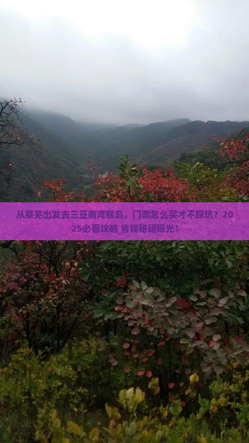 莱芜出发三亚南湾猴岛门票