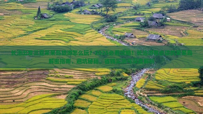 长治出发三亚呆呆岛旅游