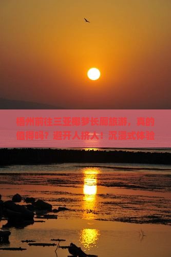 梧州前往三亚椰梦长廊旅游