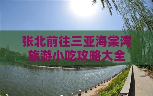 张北前往三亚海棠湾旅游小吃