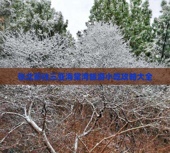 张北前往三亚海棠湾旅游小吃