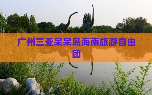 广州去三亚呆呆岛自由团