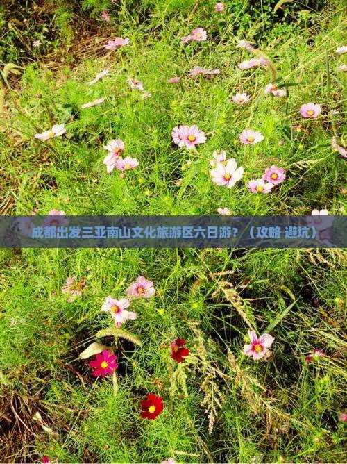 成都出发三亚南山文化旅游区六日游