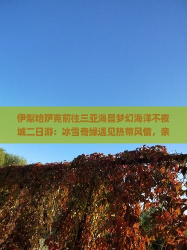 伊犁哈萨克前往三亚海昌梦幻海洋不夜城二日游
