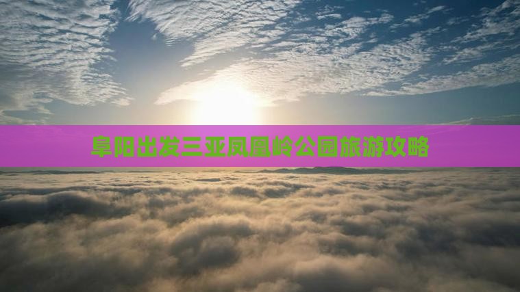 阜阳出发三亚凤凰岭公园旅游