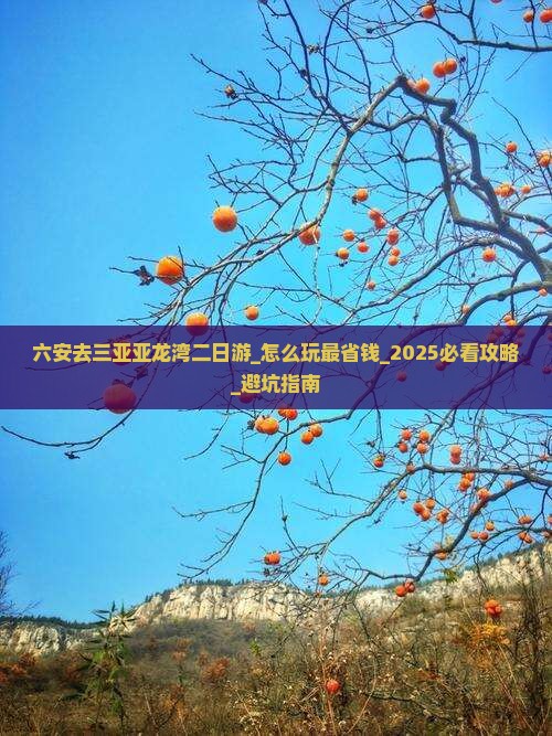 六安去三亚亚龙湾二日游