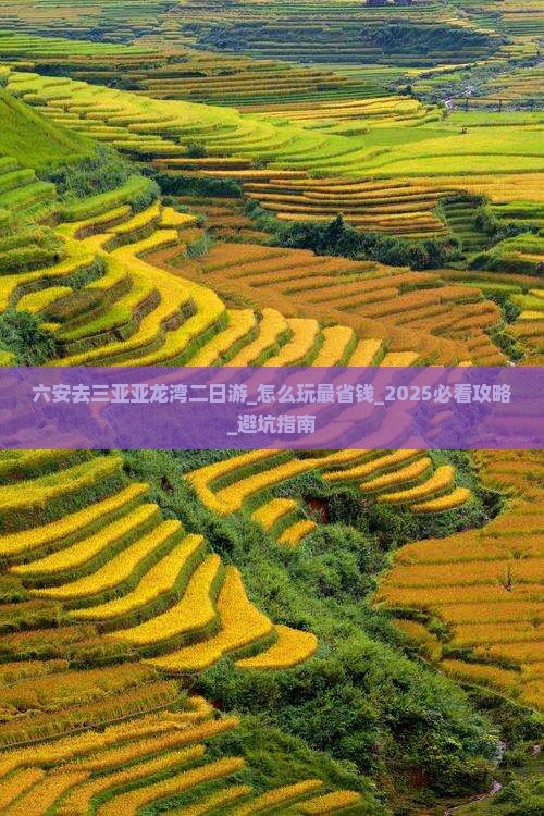 六安去三亚亚龙湾二日游