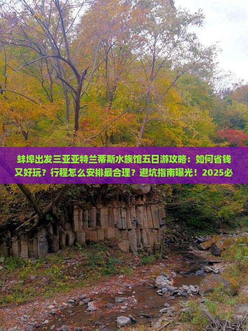 蚌埠出发三亚亚特兰蒂斯水族馆五日游