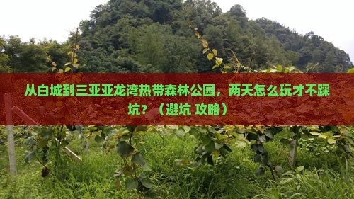 白城前往三亚亚龙湾热带森林公园二日游