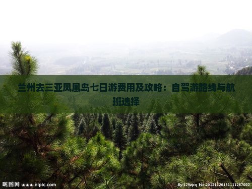 兰州去三亚凤凰岛七日游费用及攻略：自驾游路线与航班选择
