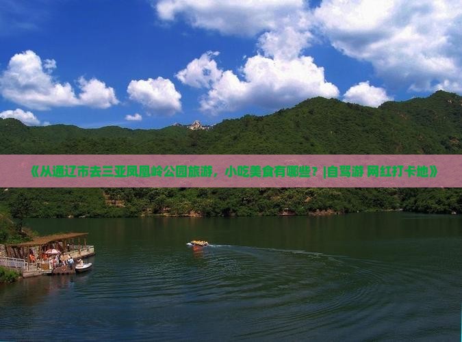 《从通辽市去三亚凤凰岭公园旅游，小吃美食有哪些？|自驾游+网红打卡地》